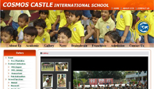 Cosmos Castle School