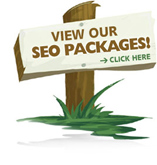 Search Engine Optimization